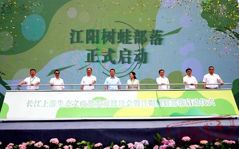 泸州“微度假”新地标：江阳树蛙部落开门迎客