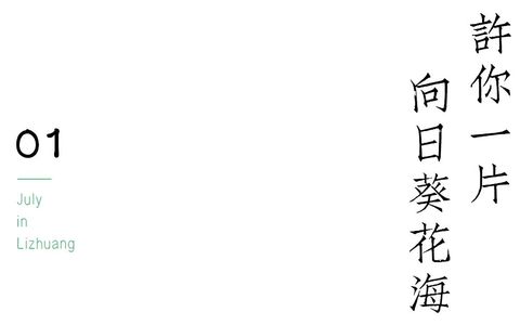 宜宾李庄古镇藏有向日葵花海，错过等明年