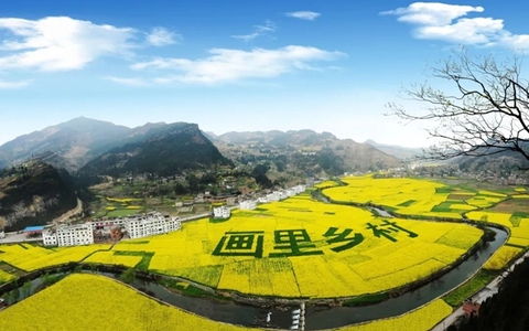 官宣定档！快来古蔺菜花文化旅游月 赴一场春天的约会…