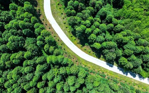 在泸州古蔺，与春光不期而遇…