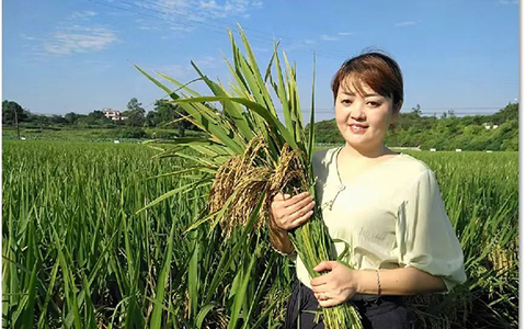 泸州市乡村女能人薛世兰：带领乡亲们种出“致富路”