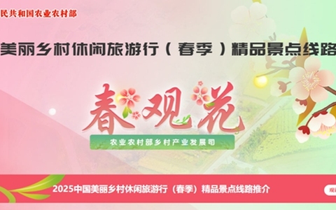 全国推介！自贡这条线路真美！