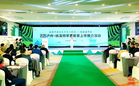 2025泸州·纳溪特早茶新茶上市推介活动在成都举行