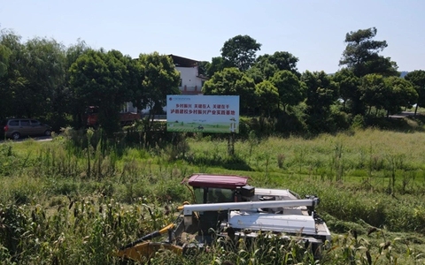 60亩高粱2小时收完！泸县建校乡村振兴学院丰收上演“科技大片”