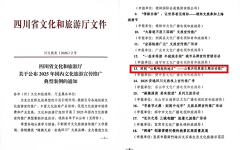 全省标杆！内江这个IP“唱响”了