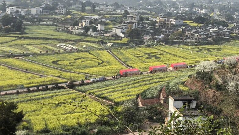 以花为媒聚合力 党建引领促发展｜小微商会党支部&青创协会党支部联合党建活动走进谭坝