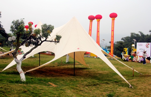 泸州甜蜜自然营地盛大开业 打造城郊休闲打卡新地标