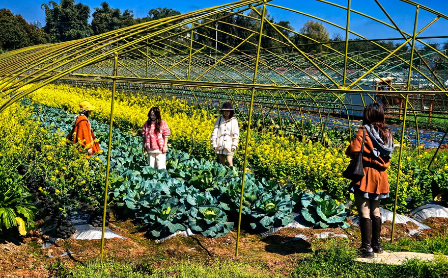 农耕时代·蔬奢农场，重新定义泸州周末轻奢生活