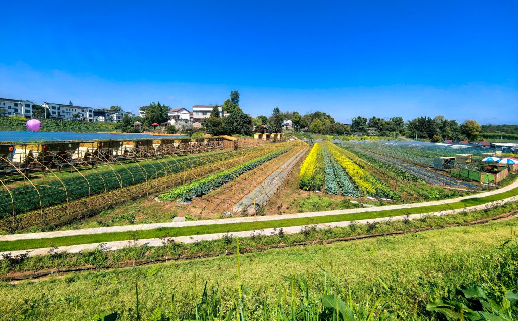 农耕时代·蔬奢农场，重新定义泸州周末轻奢生活