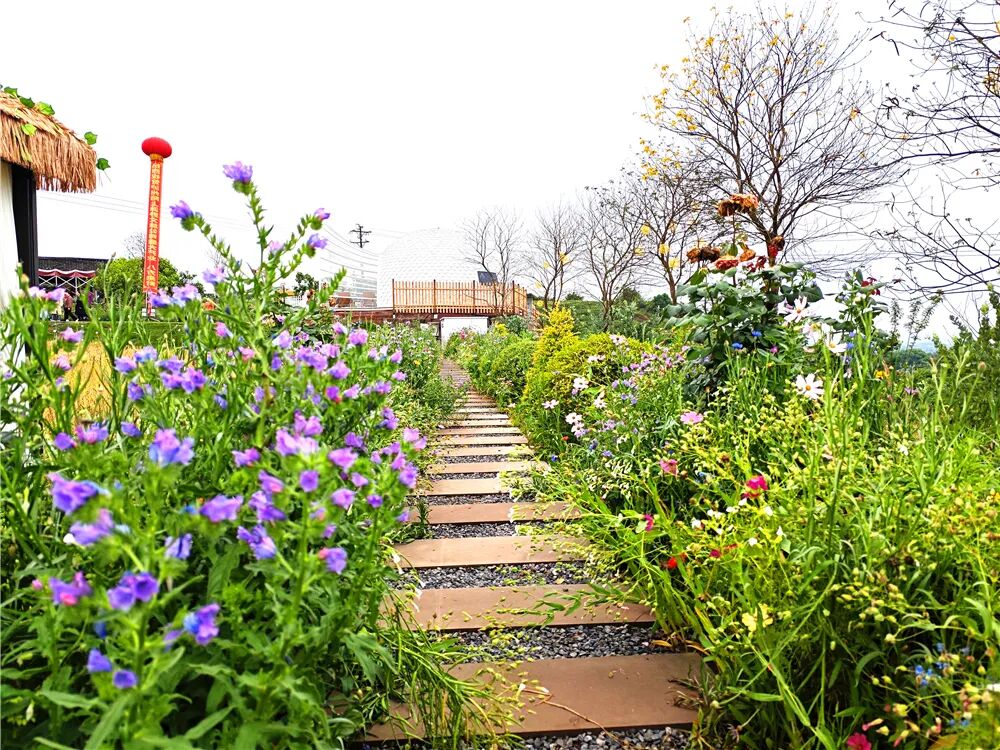 泸州文旅新地标！投资1500万，一站式田园度假新玩法！四季花海、亲子娱乐、露营烧烤…(图6)