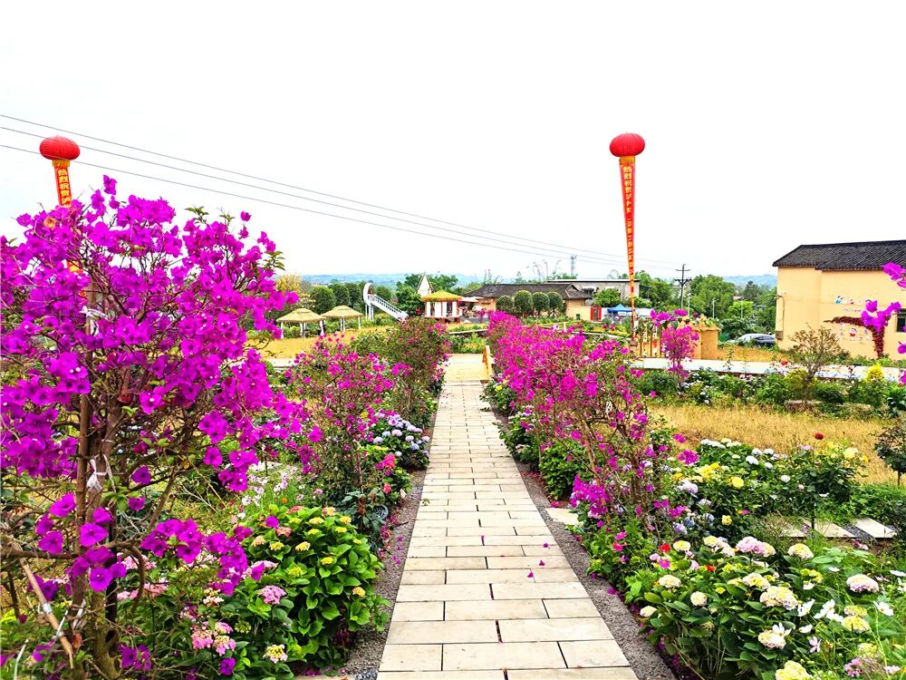 泸州文旅新地标！投资1500万，一站式田园度假新玩法！四季花海、亲子娱乐、露营烧烤…(图8)