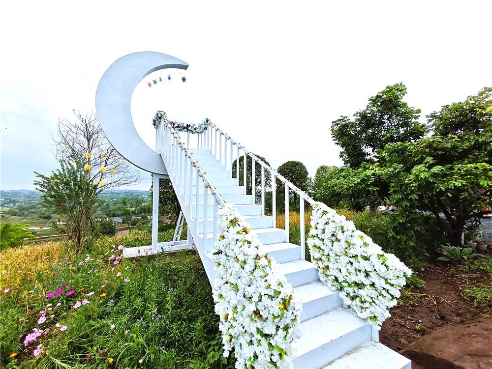 泸州文旅新地标！投资1500万，一站式田园度假新玩法！四季花海、亲子娱乐、露营烧烤…(图13)