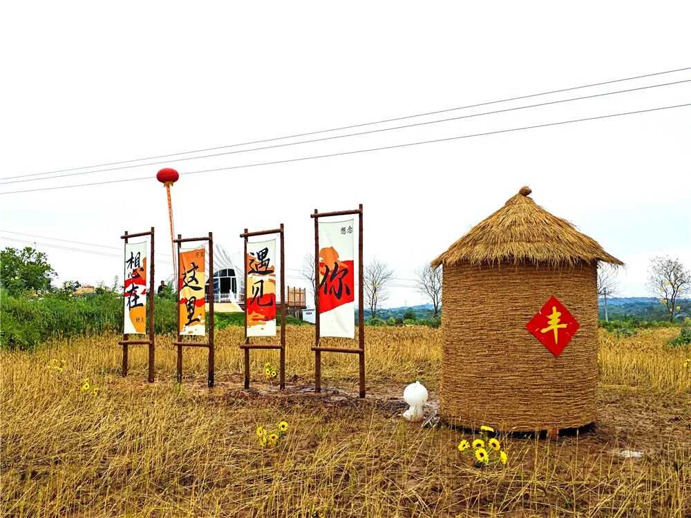 泸州文旅新地标！投资1500万，一站式田园度假新玩法！四季花海、亲子娱乐、露营烧烤…(图15)