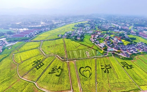 水清业兴村美民富，泸县这样作答“美丽乡村”新考卷