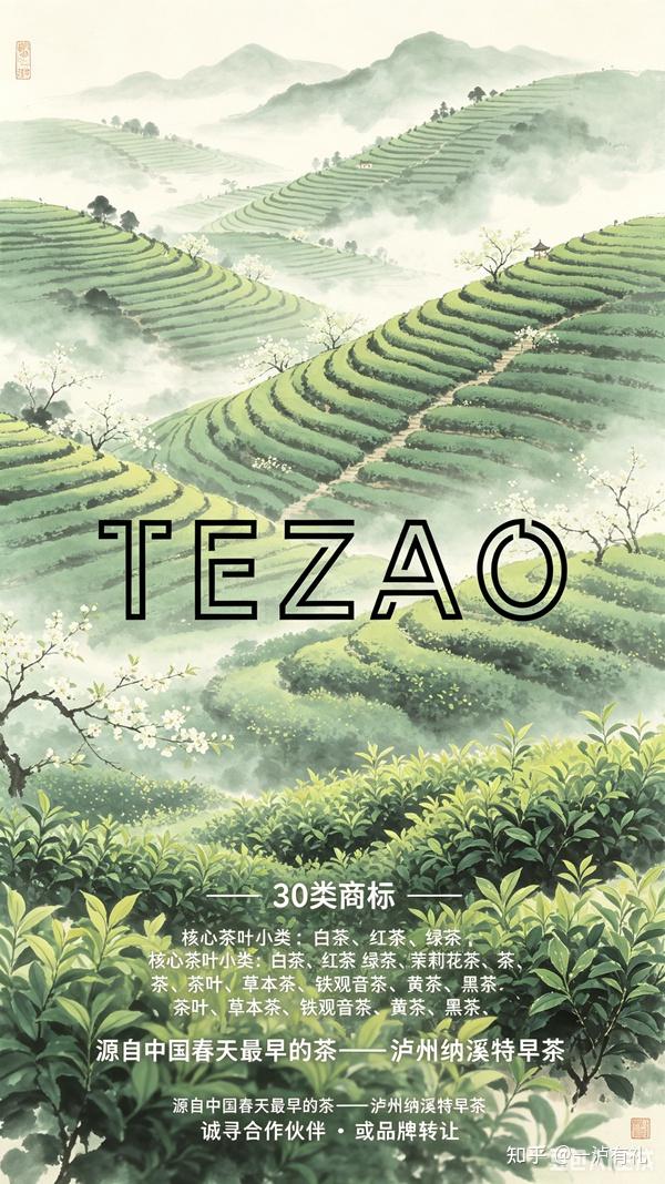 纳溪特早茶 寻志同道合者・共筑 TEZAO 特早品牌 